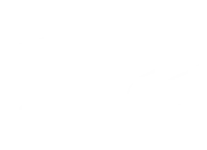 logo_skyglass_final